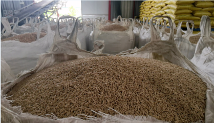 企業(yè)風(fēng)采丨荊州格力特生物科技 以質(zhì)興企，助力養(yǎng)殖業(yè)降本增效的生物飼料研發(fā)